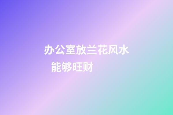 办公室放兰花风水   能够旺财